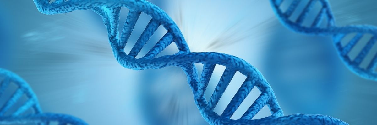 Estudo revela que genética influencia quando o bebê começa a andar