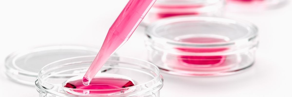 Fertilização in vitro: os impactos emocionais, financeiros e conjugais