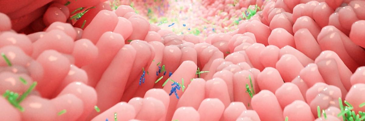 Como o estresse durante a gravidez pode influenciar o microbioma do bebê